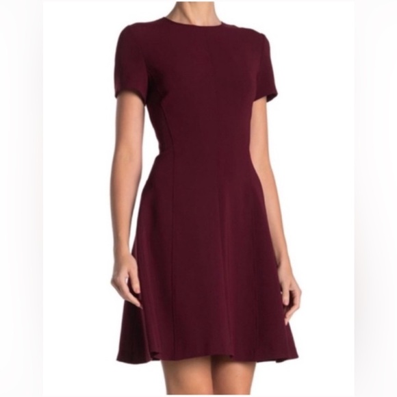 Theory Dresses & Skirts - Theory Burgundy Corset Tee A-Line Dress